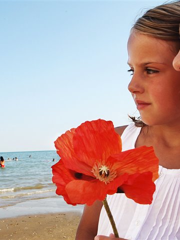 Ut enim ad minim, quis nostrud